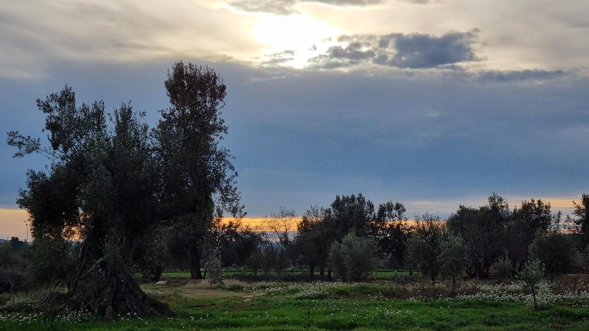 Les Valletes Arnes Bagian luar foto