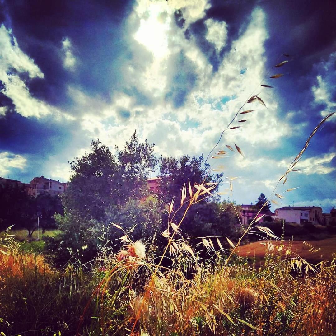 Les Valletes Arnes Ruang foto